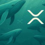 XRP News Today: Ripple Price Prediction & Latest Updates From Viral Altcoin Remittix