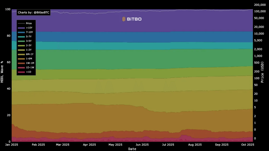 Over 61% of BTC hasn’t moved in a year: What it means for Bitcoin price