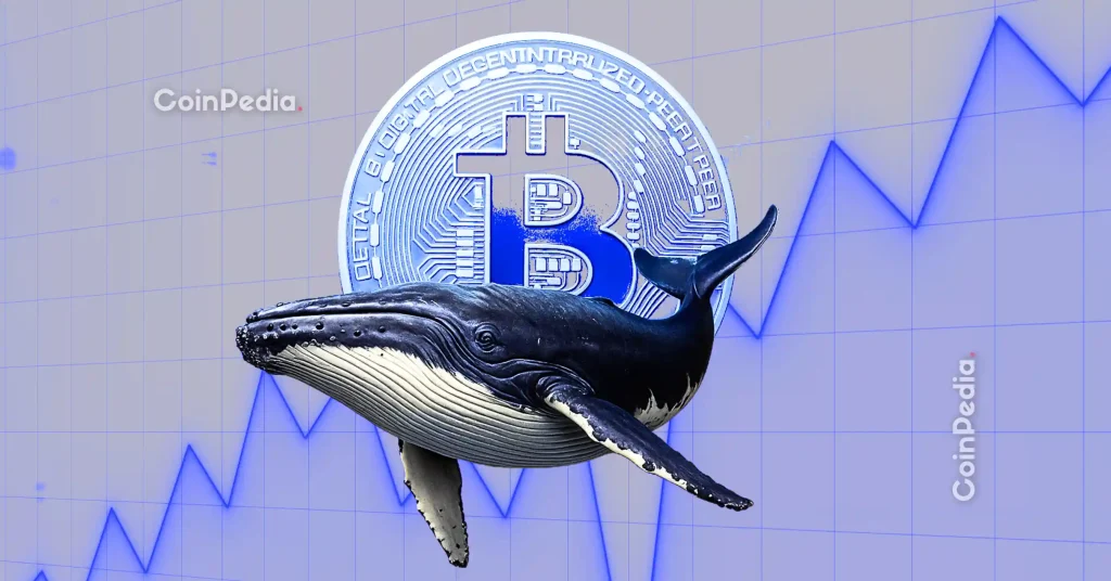 CryptoQuant CEO Ki Young Ju Says OG Whales Are Dragging the Market