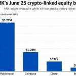The next crypto recovery trade might be equities instead of tokens