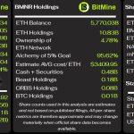 BitMine made $46 million staking Ethereum then lost twice that betting on it