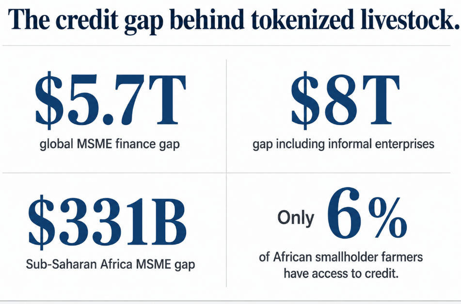 How 10 cows in Brazil unlocked a tokenized path to bridge an $8 trillion global finance gap